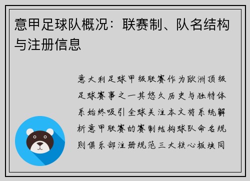 意甲足球队概况：联赛制、队名结构与注册信息